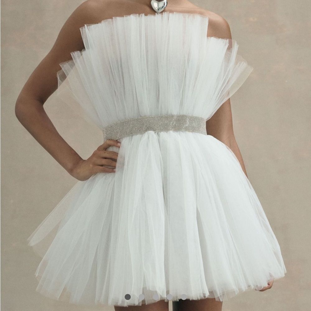 Bronx and Branco Tulle Mini Dress